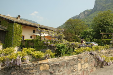 Südtiroler Garten