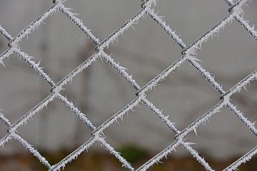 chain link fence with hoar frost 