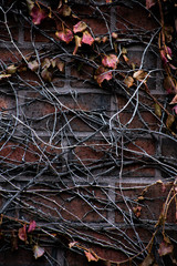 Architecture Abstract Art Texture Resource Buildings, contrast