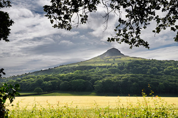 Roseberry Topping peak hill in North Yorkshire England with field of golden barley near Newton...
