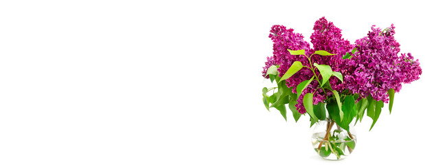 Bouquet of lilac in a vase isolated on white background. Free space for text. Wide photo.