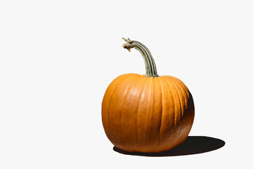 big pumpkin on isolated on white background illuminated by an artificial light source