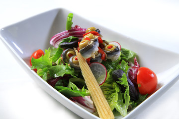 gourmet salad white background