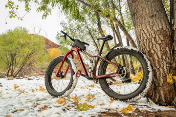 Fototapeta na wymiar mountain fat bike on a lake shore