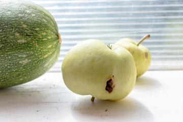 Yellow fallen dropped damaged apples with wormhole lying window sill on sunny autumn day,...