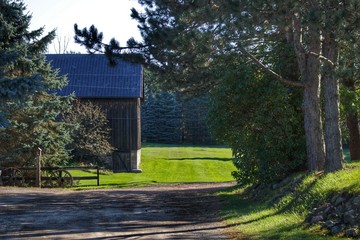 0689 - Hosner Road's Hidden Grey II (0689-BAR-100819-1044A)