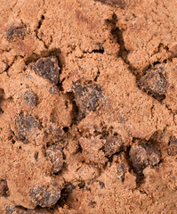 .background with chocolate chip cookies