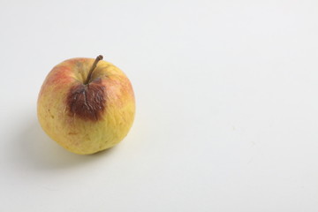 ugly apple isolated on white background. Image contains copy space