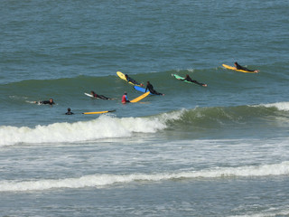 surf en vendée