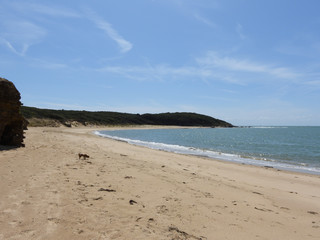 Obraz premium plage sauvage vendée