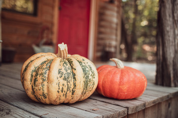 Pumpkins at the cabin