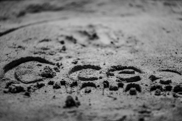 Cancun Travel Vacation Summer