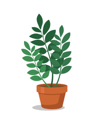 Houseplant flat vector illustration