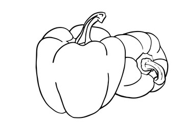 Graphical sketch of pepper isolated on white background,vector  food illustration for printing and coloring