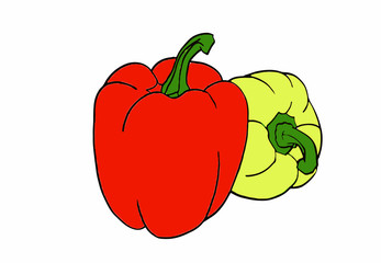 Graphical color pepper isolated on white background,vector  food illustration 