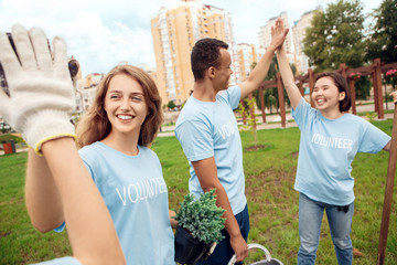 Volunteering. Young people volunteers outdoors planting trees giving high five successful close-up