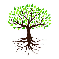 Obraz premium Tree with green leaves and roots. Flat style, vector. illustration Isolated on white background.