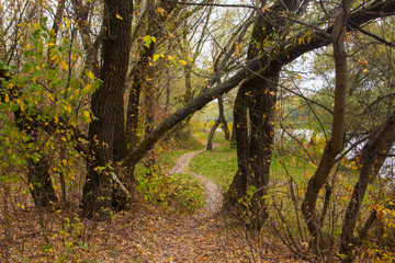 Road in autumn..The full spectrum with the advantage of warm tones creates a wonderful feeling.