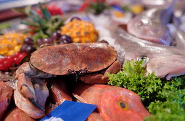 Fish and other seafood on ice on display at a fish market