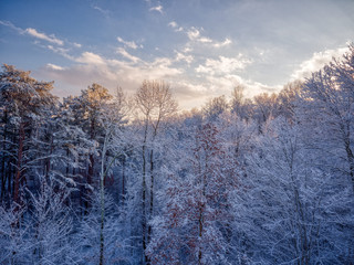 winter mountain landscape with trees and blue sky