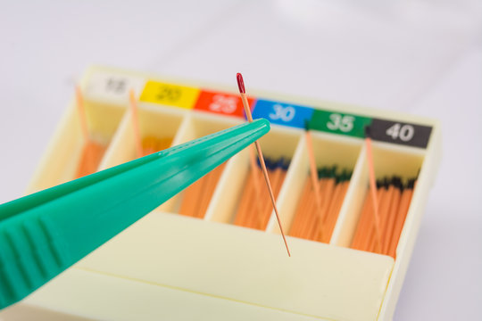 gutta-percha pins in a set of different sizes for root canal fillings, one pin close-up in tweezers, material for endodontic fillings