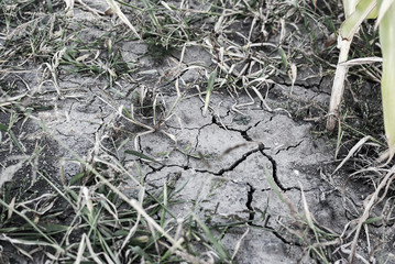 arid land cracked by drought, lack of precipitation and rain