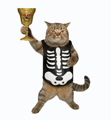 Fototapeta na wymiar The cat in a skeleton costume drinks a magic potion from the golden goblet. White background. Isolated.