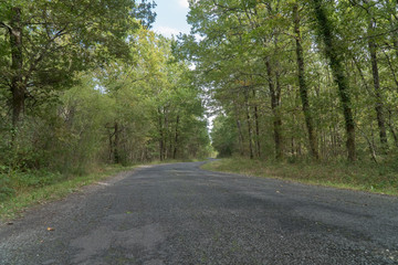 Obraz premium chemin