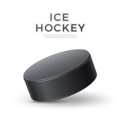 Vector realistic ice hockey 3d puck for betting