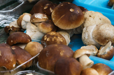 Mushrooms with brown hats and white legs in crates in the market.Boletus.
