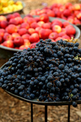 Black grapes laying on the big tray at the market vertical photo.