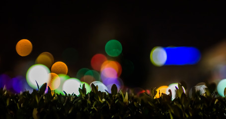 The lawn on the background of the lanterns in the unfocused