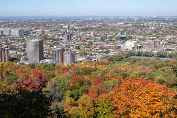 Obraz premium Montréal a l'automne 2019