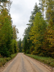 Fototapeta premium a lonely landscape with beautiful colorful trees at the edge of the dirt road