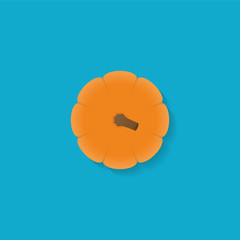 Pumpkin vector icon in flat style