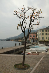 Kleiner Hafen am Gardasee