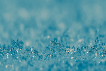 Macro of snowflakes on snow sufrace