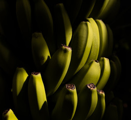  bunch of bananas with a black background