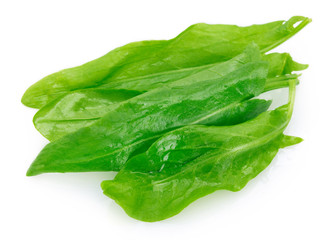 Fresh sorrel on white background