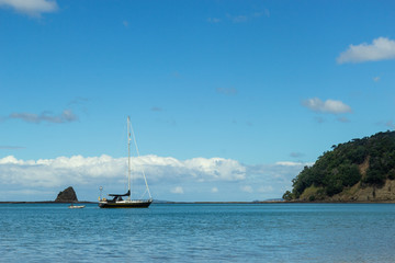 Mahurangi regional park north of Auckland, New Zealand