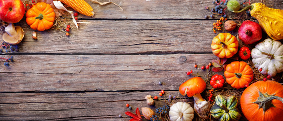 Thanksgiving Banner - Pumpkins And On Rustic Plank