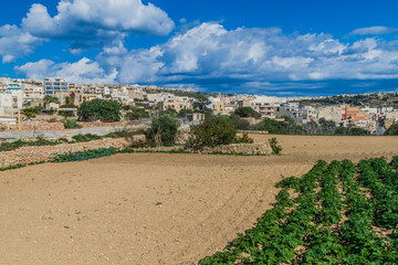 Landscape of the island of Gozo, Malta