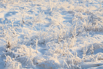 Beautiful snowy field. Close-up. Background. Scenery.