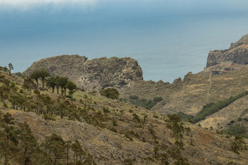Obraz premium Parque Natural Majona. Northeastern part of La Gomera Island. Old volcanic mountains covered by green grass, thickets of relic laurels and heather on steep slopes. Canary Islands, Spain