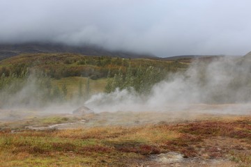 morning in yellowstone