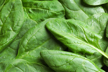 Fresh green healthy spinach as background, closeup view
