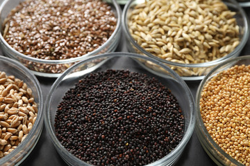Petri dishes with treated seeds on table. Laboratory analysis