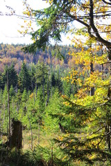 bayerische wald