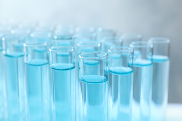 Many test tubes with light blue liquid, closeup