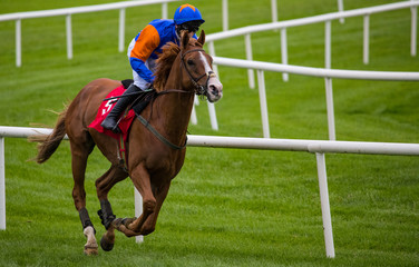 Galloping race horse and jockey on the track